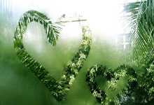 清华附小语文动画教学大合集，小学生1-6年级高效学习必备