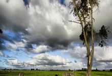 2025年10月10日 精选+付费短剧...