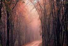 毛毛虫《双外教剧情版自然拼读课程》【3.6G】